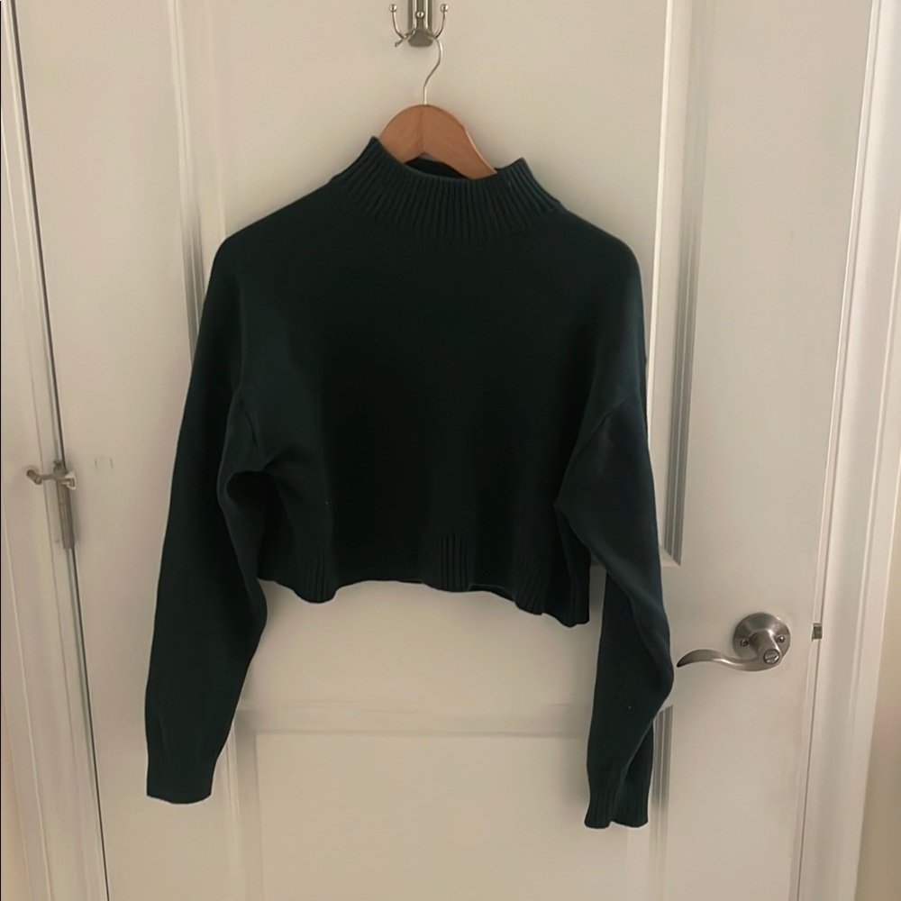 Aritzia Sunday best Scottie turtleneck size medium emerald green